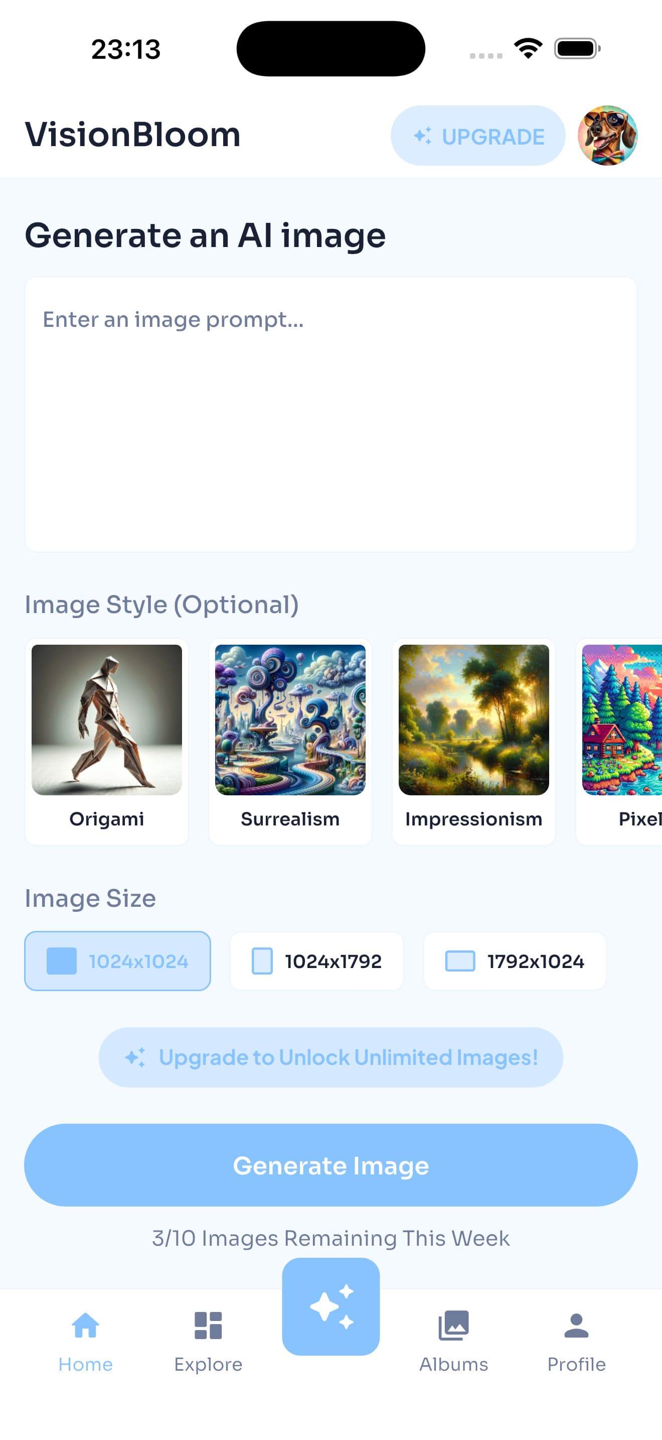 VisionBloom — IMAGE SIZE SELECTION