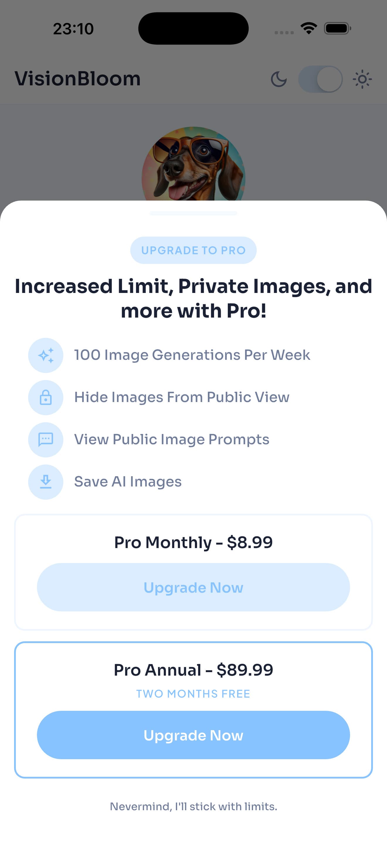 VisionBloom — PAYWALL / PRO