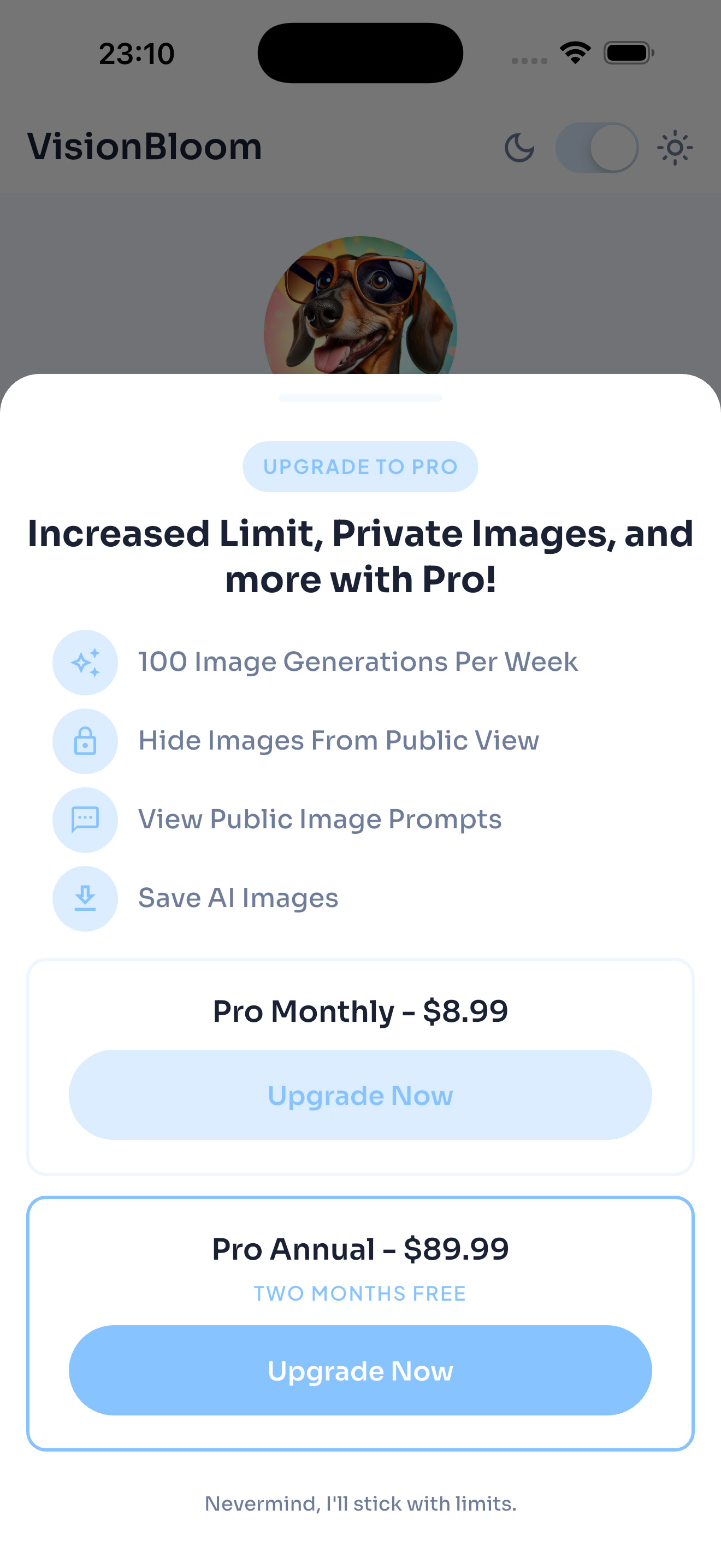 VisionBloom Pro upgrade paywall with subscription options